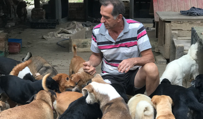 Abrigo anjo de quatro patas