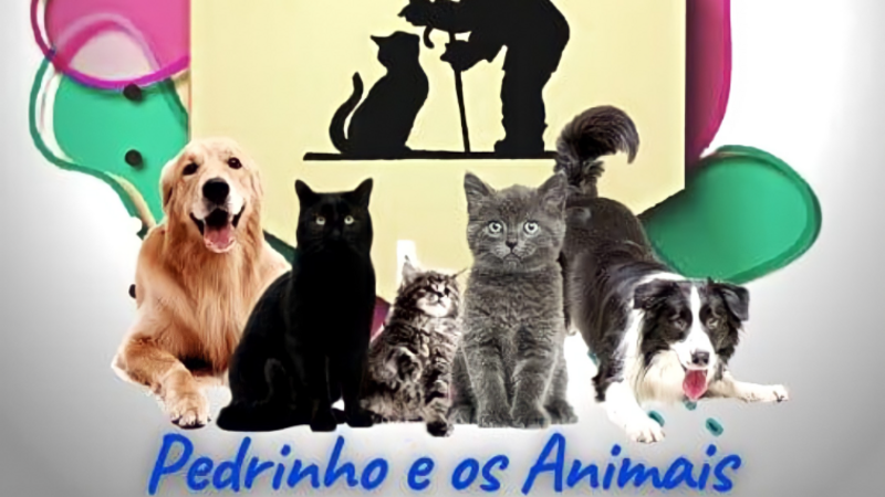 imagem da vaquinha Ajuda para animais em situação de vulnerabilidade.