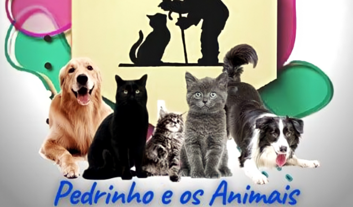 Ajuda para animais em situação de vulnerabilidade.