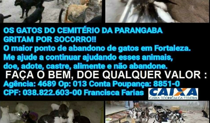 VAQUINHA PARA AJUDA PROTETORA FRANCISCA FARIAS CEARA