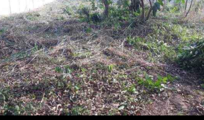 Ajuda para comprar terreno