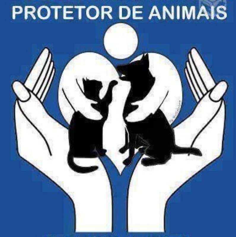 imagem da vaquinha Nos ajude a continuar salvando vidas!
