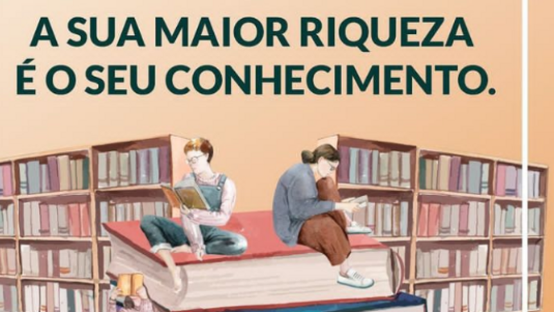 imagem da vaquinha Rumo ao Egito 