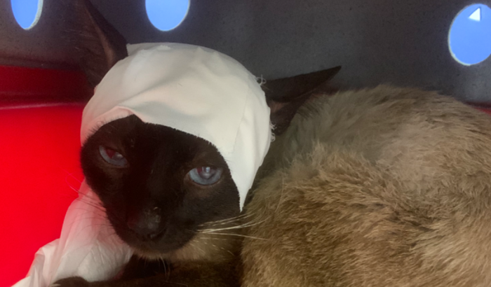 Resgate do Soldado TOM