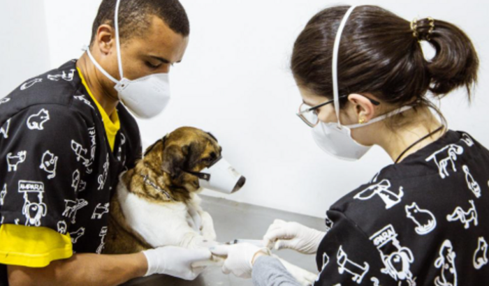 Equip. veterinários p/ Centro de Controle Populacional Animal