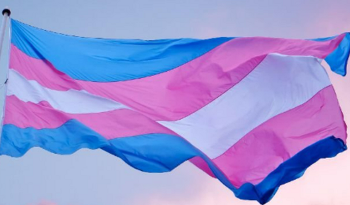 Vamos ajudar o Kayuá?