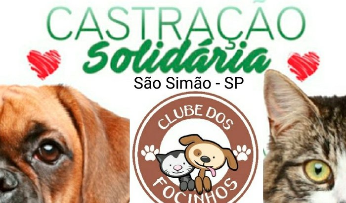 1º Mutirão de Castração Solidária São SimãoSP Clube dos Focinhos