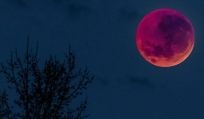 Ajuda para publicar meu livro