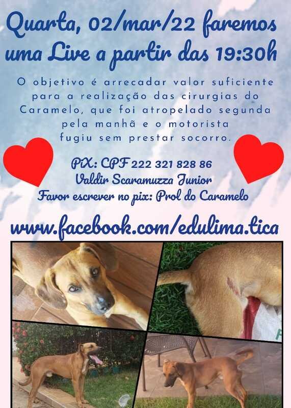 Caramelinho 