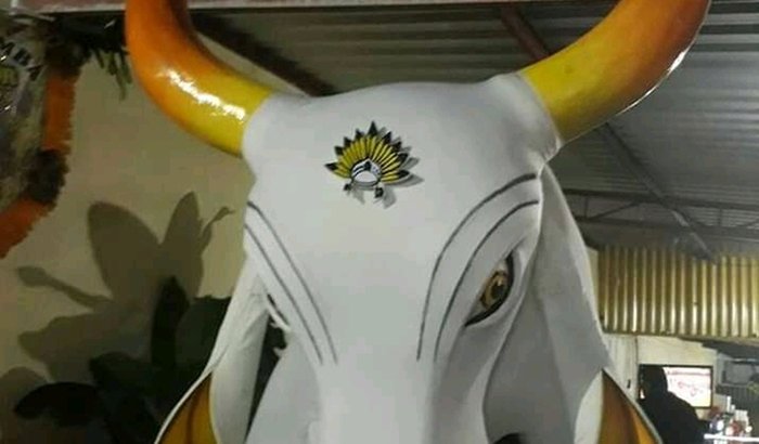 Boi Bumbá Clamor De um Povo (Clamor Das Cinzas Á Exaltação Folclórica)