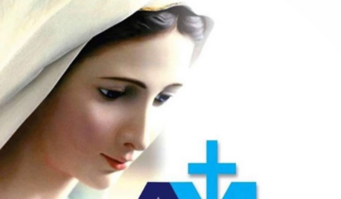 Ajuda ao Apostolado Ale Machado Official