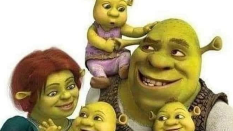 Tratamento Pós Cirurgia Bariátrica 