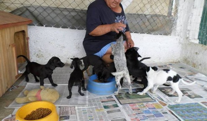 Ajuda aos Animais Necessitados do Abrigo Aatan Sorocaba