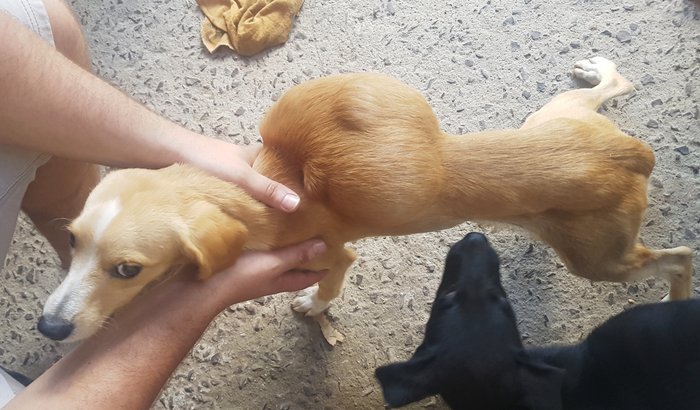 Ajuda para Frederico