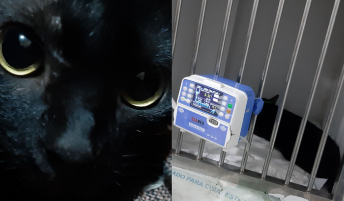 AJUDE NO TRATAMENTO DO BLACK