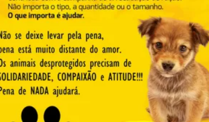 Ajuda os animais de rua 