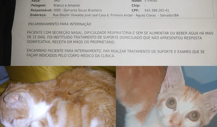 Ajude o Bartholomeu