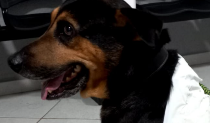 Ajuda para Cirurgia e Medicamentos do Negão