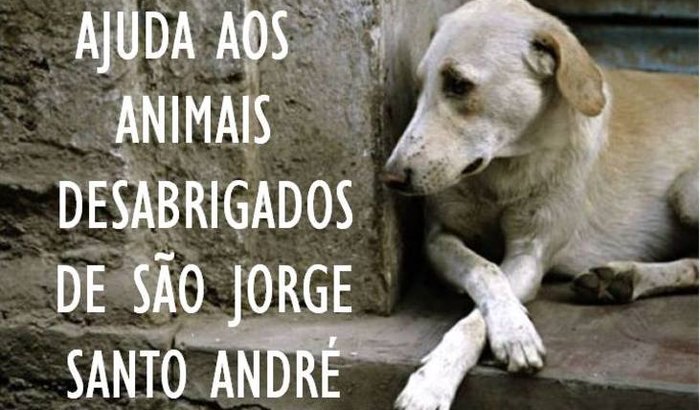 AJUDA AOS CAES DESABRIGADOS DE SAO JORGE (STO ANDRE)