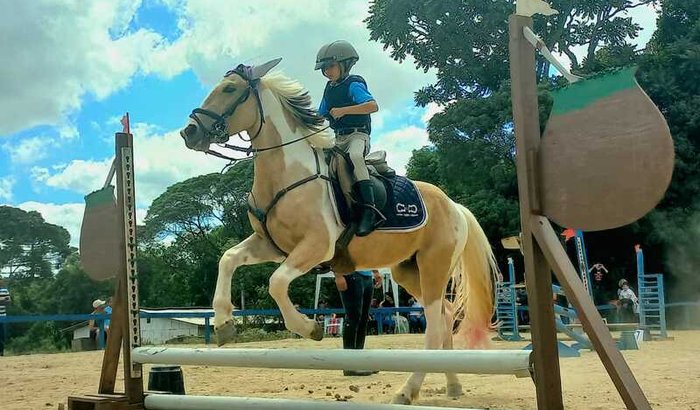 Campeonatos do Théo 