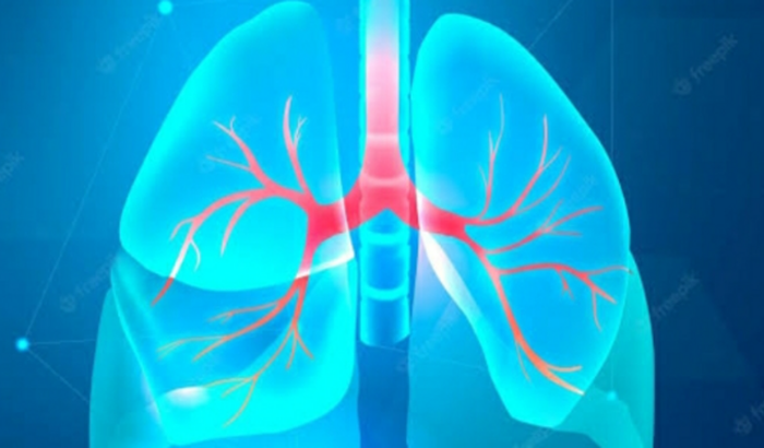 Biópsia pulmonar por radiologia intervencionista