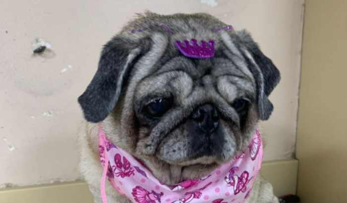 vida da mia (internação)