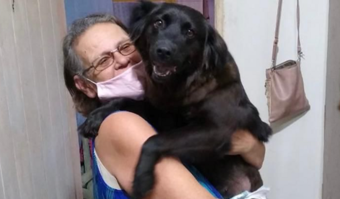 DONA SÔNIA E SEUS ANIMAIS! 