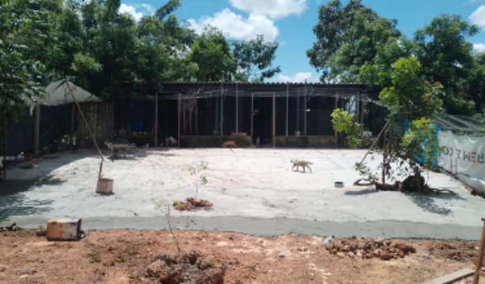 Ajuda para terminar abrigo de animais - OPAA
