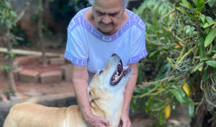 Ajude o menino 