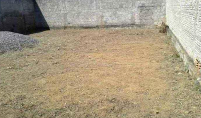 Construir um studio de funcional.