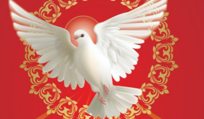 VAQUINHA EM PROL DA FESTA DO DIVINO