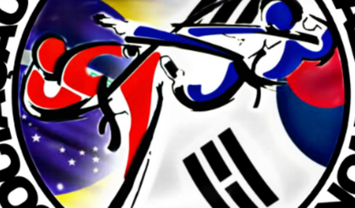 COMPRA DE EQUIPAMENTOS PARA O TAEKWONDO 