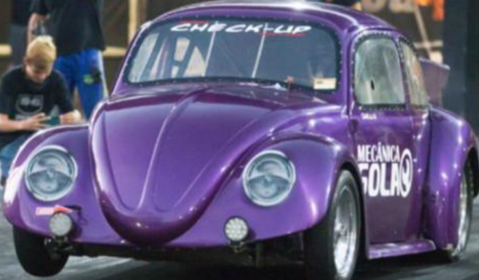 VAQUINHA SOLA FUSCA #46