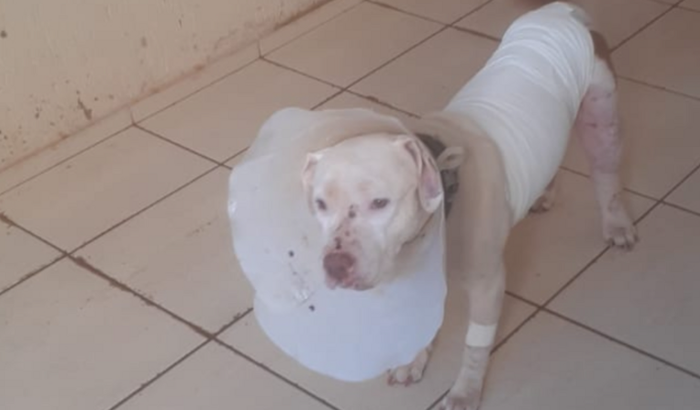 Kakau está com câncer 