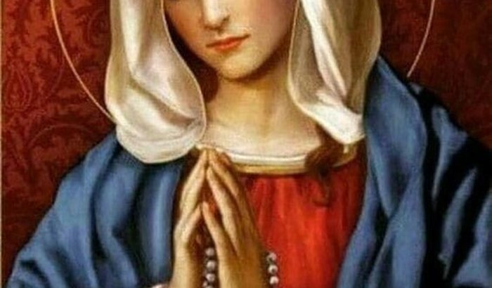 L.V. — Projeto de Caridade.