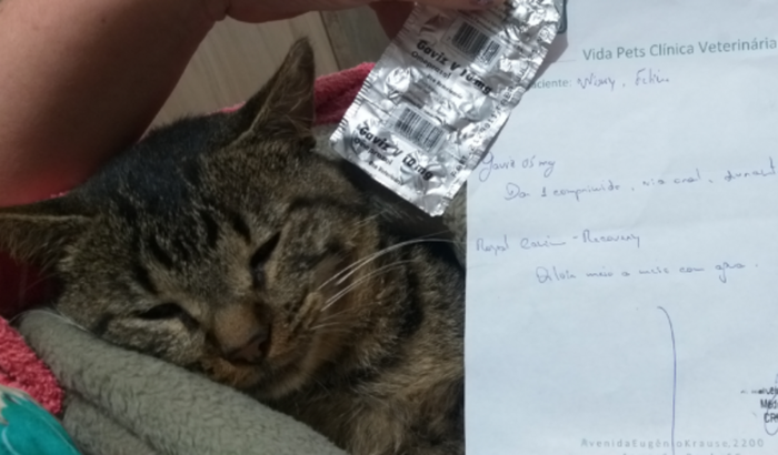 Custos veterinario