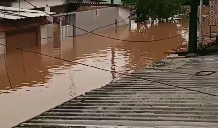 Ajuda Mônica Vietor
