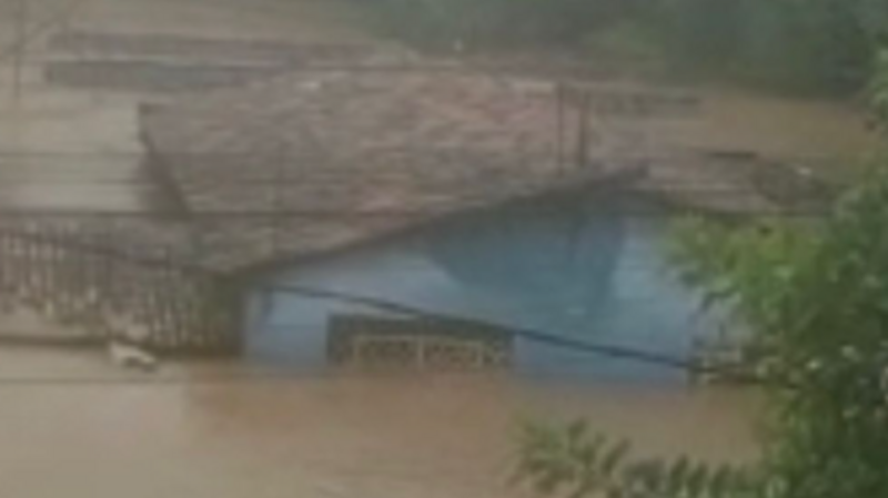 Ajude a família de Dayana