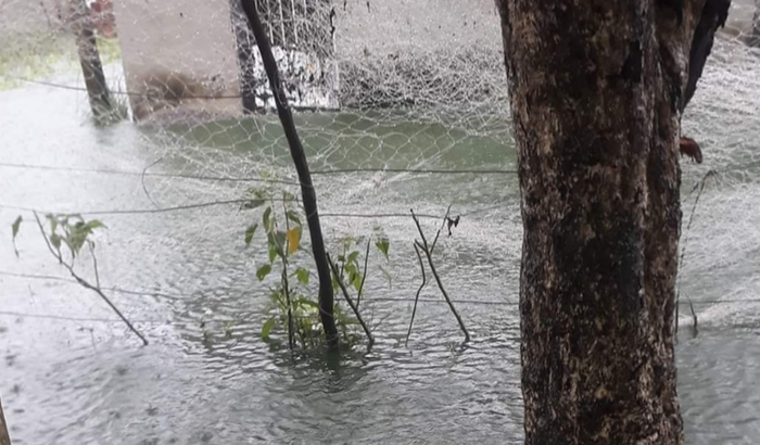 Ajuda com alimentos perdemos nossas coisas nas fortes chuvas deus nos abençoa 