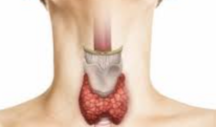 Cirurgia Paratireóide
