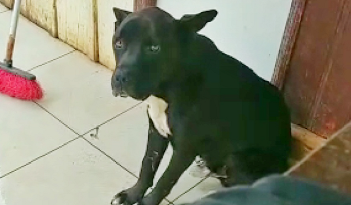 Ajudem o Negão