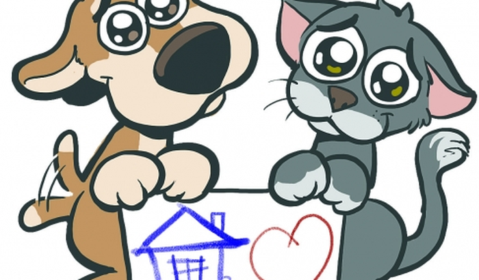Animais Resgatados - Lar Temporário