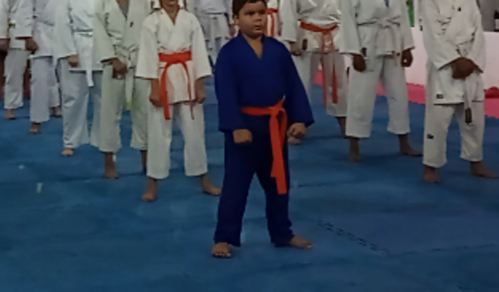 Ajude o karateca Guilherme