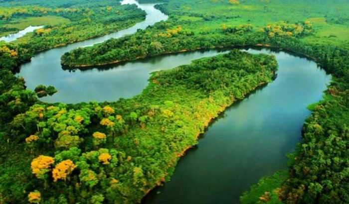 Unidos pela Amazônia 