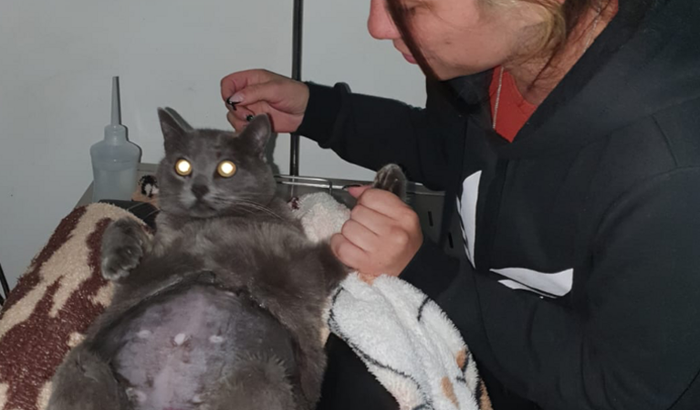 RECUPERAÇÃO DO HORUS