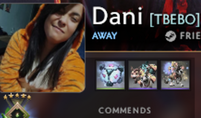 Placa de vídeo Dani