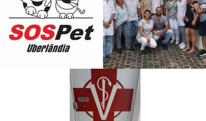 5° Mutirão de castrações Solidário