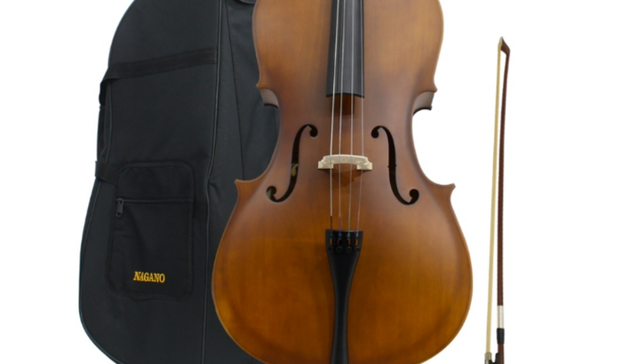 Ajuda comprar um violoncelo pra poder terminar os meus estudos 