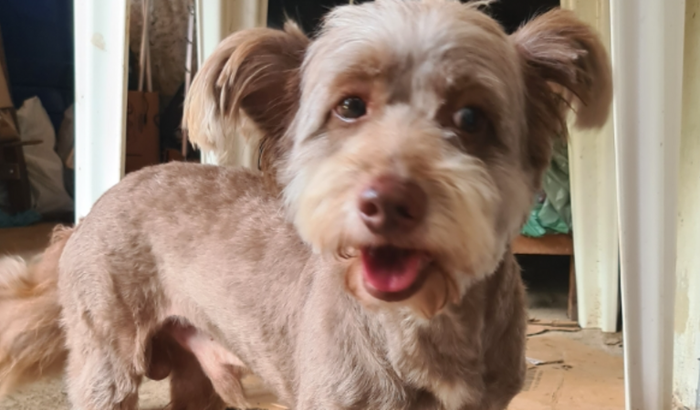 Em prol da passagem de Skinner