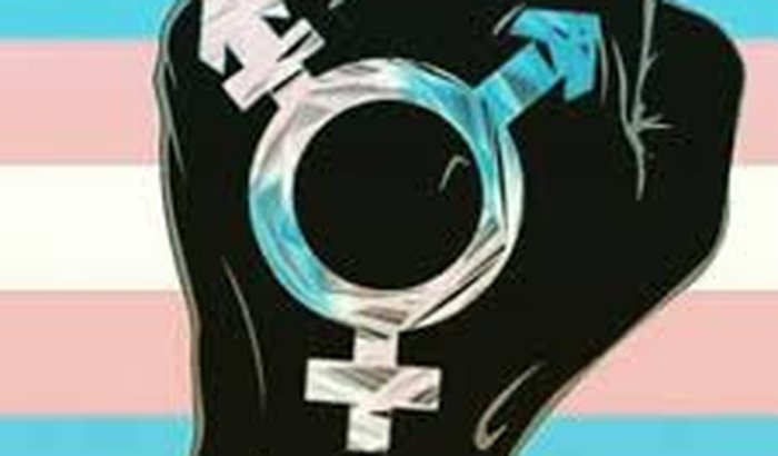 Me ajude no meu processo de transsexualização